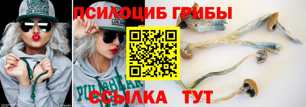 Бузулук  Галлюциногенные грибы мицелий  Галлюциногенные грибы Cubensis  Вход с VPN 