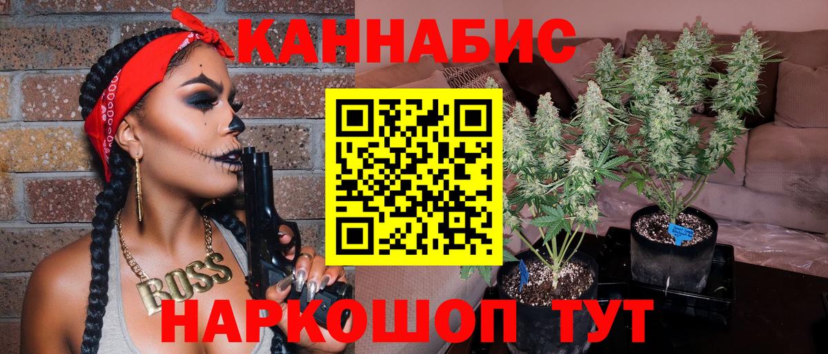 Бузулук  Шишки марихуана план  Вход с VPN  Каннабис Amnesia  Бошки марихуана марихуана 
